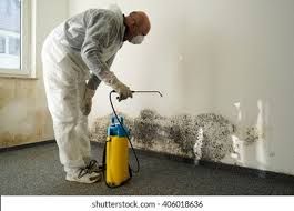 Reliable Somerdale, NJ Mold Prevention & Removal  Solutions